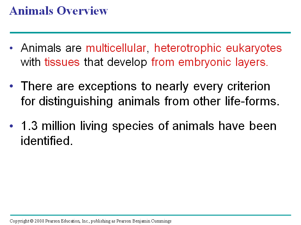 Investigation Of Reproduction And Development In Animals
