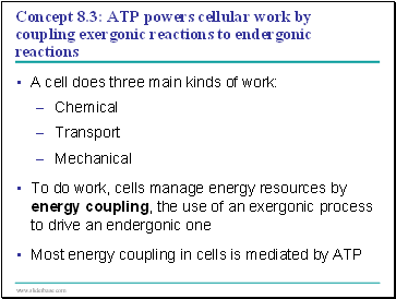Concept 8.3: ATP powers cellular work by coupling exergonic reactions to endergonic reactions