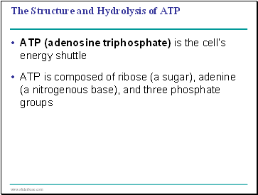 The Structure and Hydrolysis of ATP