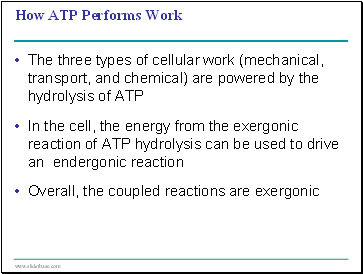 How ATP Performs Work