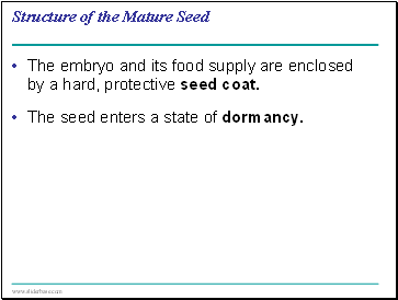 Structure of the Mature Seed