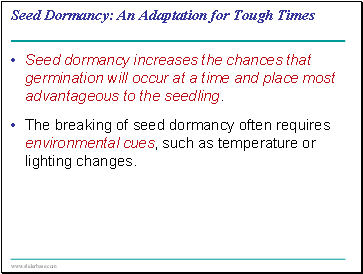 Seed Dormancy: An Adaptation for Tough Times