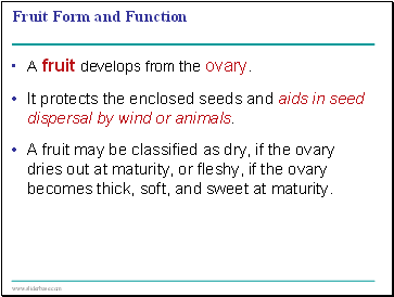 Fruit Form and Function