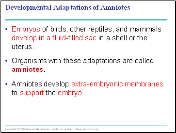 Developmental Adaptations of Amniotes