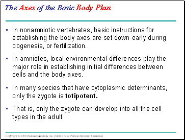 The Axes of the Basic Body Plan