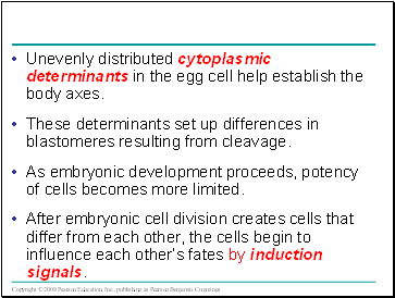 Unevenly distributed cytoplasmic determinants in the egg cell help establish the body axes.