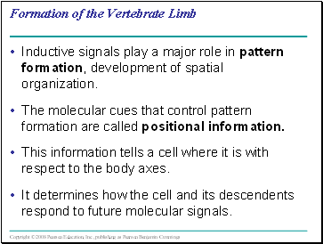 Formation of the Vertebrate Limb