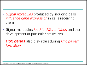 Signal molecules produced by inducing cells influence gene expression in cells receiving them.