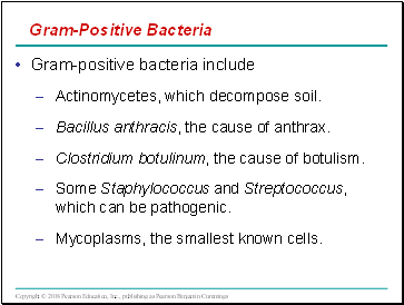Gram-Positive Bacteria