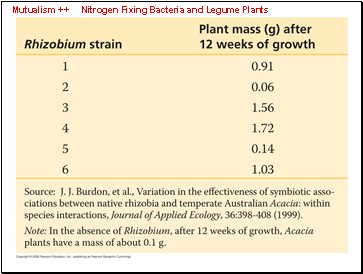 Mutualism ++ Nitrogen Fixing Bacteria and Legume Plants