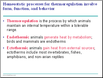 Homeostatic processes for thermoregulation involve form, function, and behavior