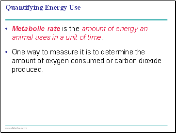Quantifying Energy Use