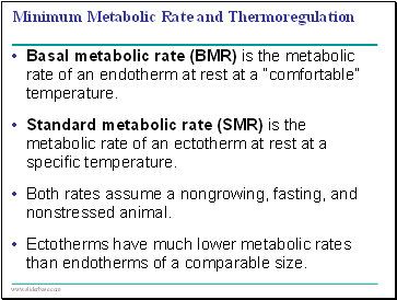 Minimum Metabolic Rate and Thermoregulation