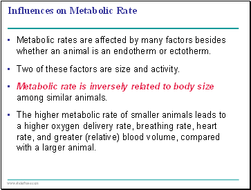 Influences on Metabolic Rate
