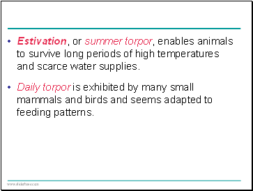Estivation, or summer torpor, enables animals to survive long periods of high temperatures and scarce water supplies.