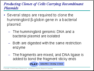 Producing Clones of Cells Carrying Recombinant Plasmids