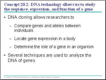 Concept 20.2: DNA technology allows us to study the sequence, expression, and function of a gene
