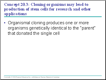 Organismal cloning produces one or more organisms genetically identical to the parent that donated the single cell
