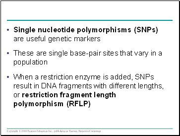 Single nucleotide polymorphisms (SNPs) are useful genetic markers