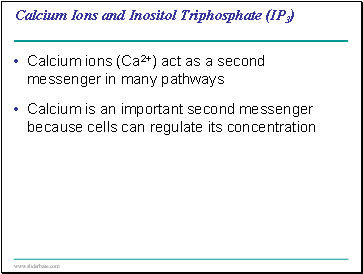 Calcium Ions and Inositol Triphosphate (IP3)
