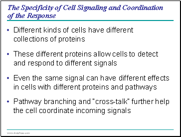 The Specificity of Cell Signaling and Coordination of the Response