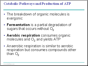 Catabolic Pathways and Production of ATP