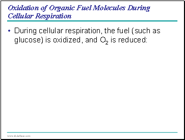 Oxidation of Organic Fuel Molecules During Cellular Respiration