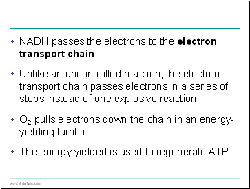 NADH passes the electrons to the electron transport chain