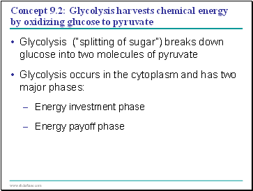 Concept 9.2: Glycolysis harvests chemical energy by oxidizing glucose to pyruvate
