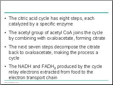 The citric acid cycle has eight steps, each catalyzed by a specific enzyme