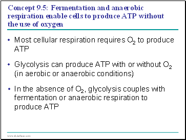 Concept 9.5: Fermentation and anaerobic respiration enable cells to produce ATP without the use of oxygen