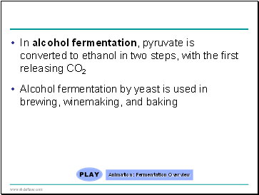 In alcohol fermentation, pyruvate is converted to ethanol in two steps, with the first releasing CO2