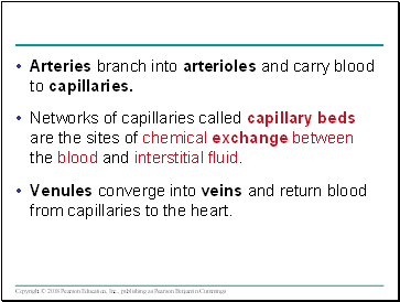 Arteries branch into arterioles and carry blood to capillaries.