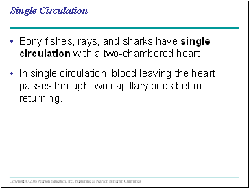 Single Circulation