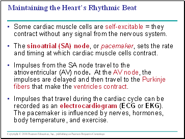 Maintaining the Hearts Rhythic Beat