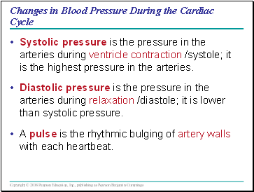 Changes in Blood Pressure During the Cardiac Cycle