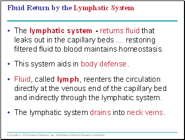 Fluid Return by the Lymphatic System