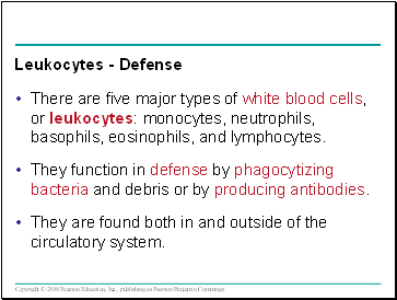 Leukocytes - Defense