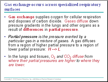 Gas exchange occurs across specialized respiratory surfaces