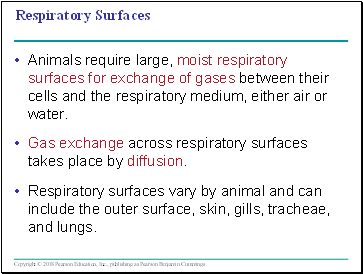 Respiratory Surfaces