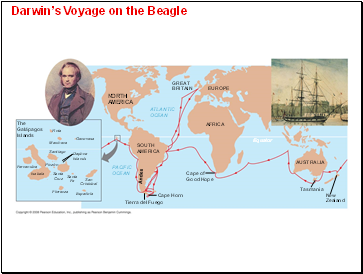 Darwins Voyage on the Beagle