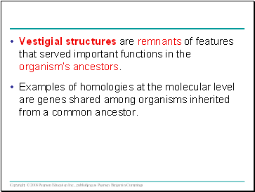 Vestigial structures are remnants of features that served important functions in the organisms ancestors.