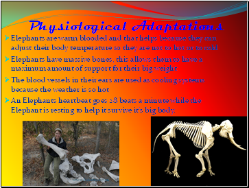 Physiological Adaptations