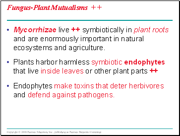 Fungus-Plant Mutualisms + +