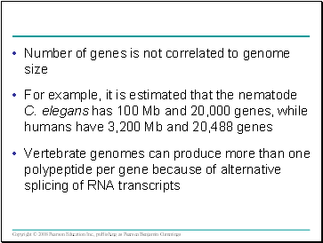 Number of genes is not correlated to genome size