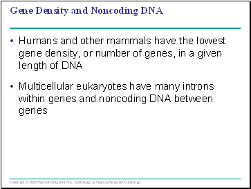 Gene Density and Noncoding DNA