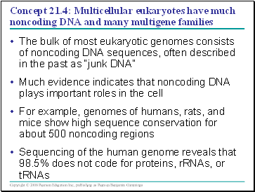Concept 21.4: Multicellular eukaryotes have much noncoding DNA and many multigene families