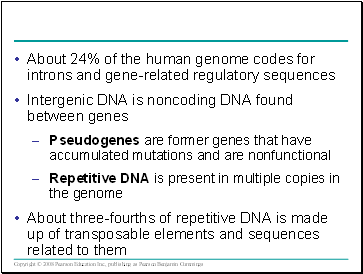About 24% of the human genome codes for introns and gene-related regulatory sequences