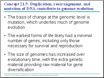 Concept 21.5: Duplication, rearrangement, and mutation of DNA contribute to genome evolution