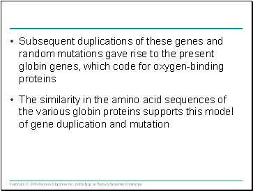 Subsequent duplications of these genes and random mutations gave rise to the present globin genes, which code for oxygen-binding proteins
